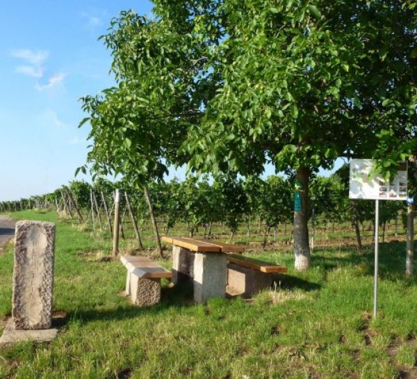Sitzgruppe in den Weinbergen