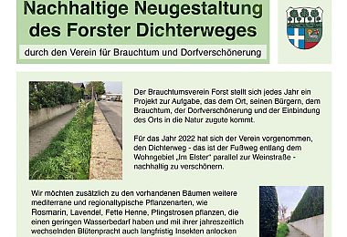 Bewerbungsplakat Nachhaltigkeitsprojekt-Wettbewerb der VR-Bank 